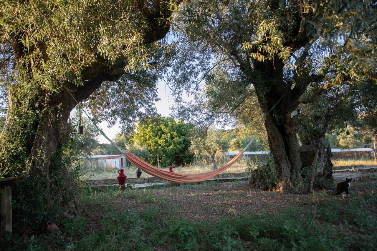 Monte Dos Vicentes Herdade Da Yucca Farm stay *