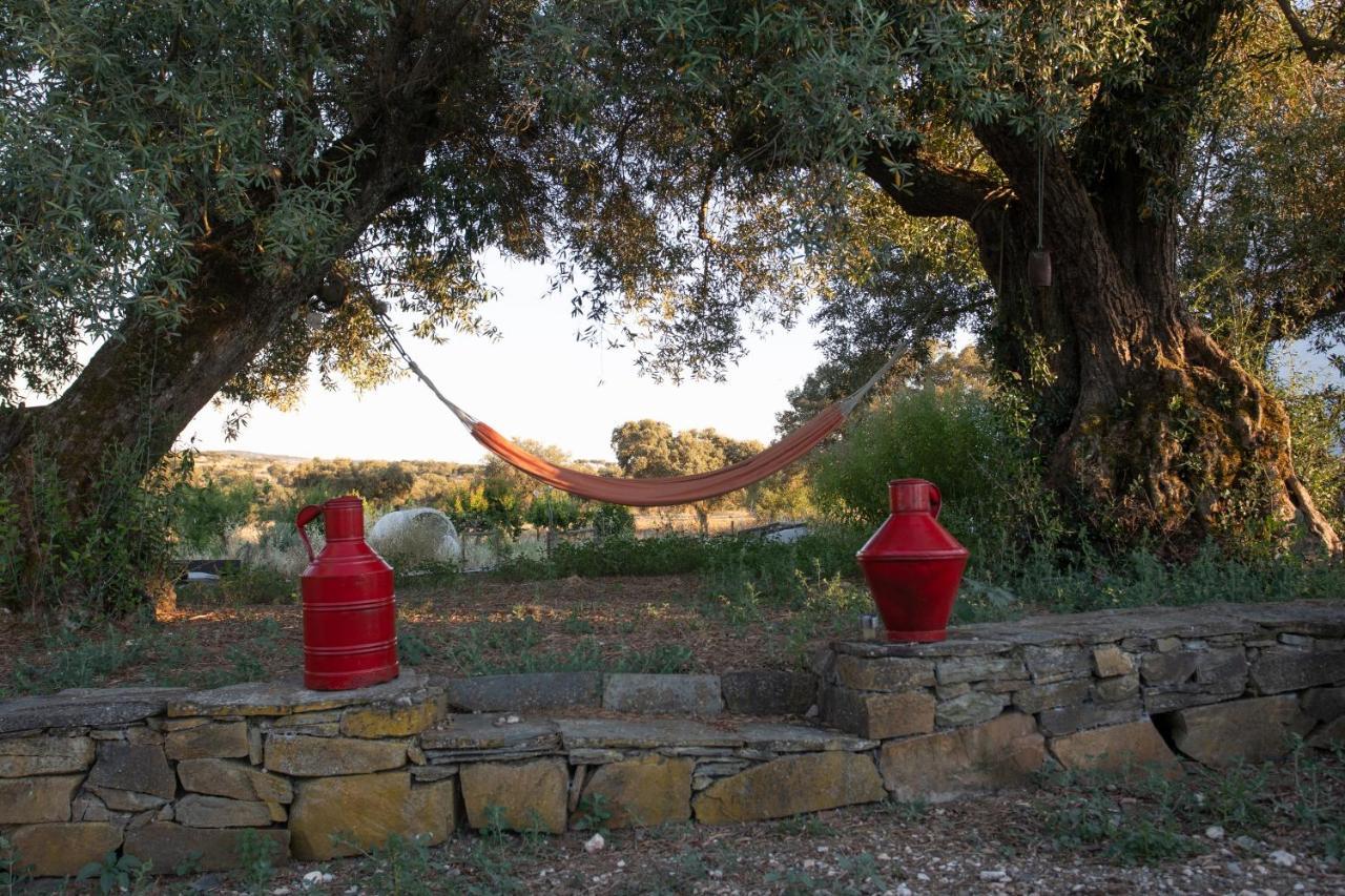 Farm stay Monte Dos Vicentes Herdade Da Yucca *