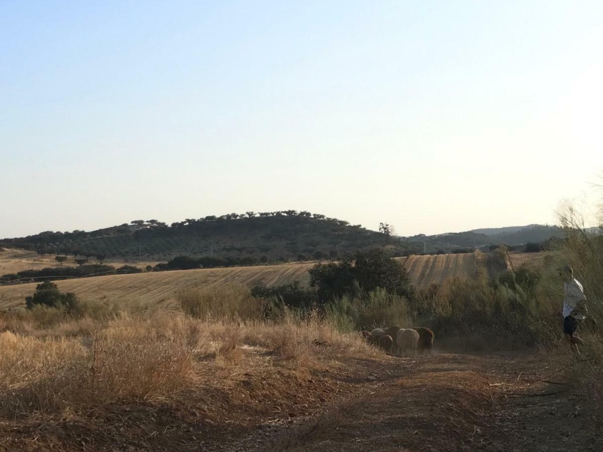 Monte Dos Vicentes Herdade Da Yucca Farm stay Terena